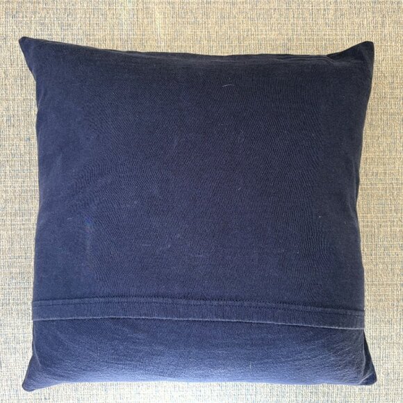 Buffalo Sabres NHL Hockey handmade 16 x 16 upcycled T shirt throw pillow cover - Picture 9 of 10